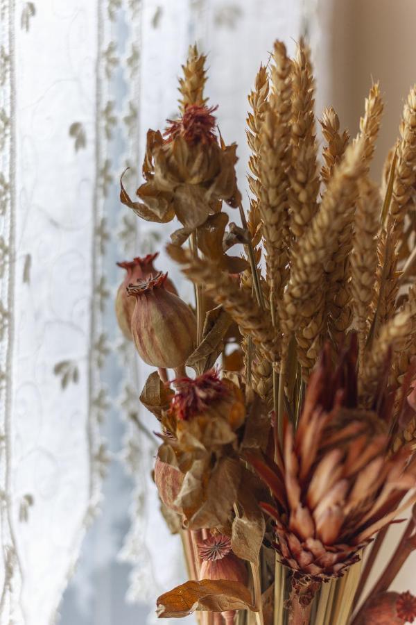 Garden Apartment - Smart Holiday Mantua Exterior foto